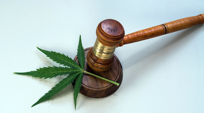 Understanding Cannabis Insurance: Protecting Your Business in a High-Risk Market