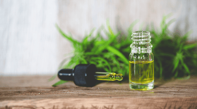 From Cannabis to Cancer: What is Rick Simpson Oil? How to make RSO and cannabis oil?