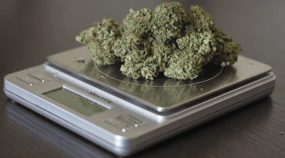 How Many Grams in A Quarter Pound? Marijuana Guide