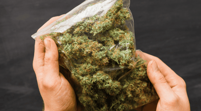 How Much is an Ounce of Weed? From Weight to Cost