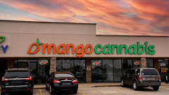 Mango Cannabis Marijuana Weed Dispensary Edmond